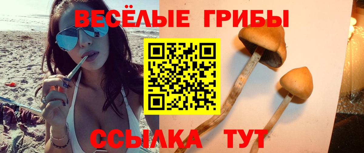 Галлюциногенные грибы MAGIC MUSHROOMS Кизилюрт